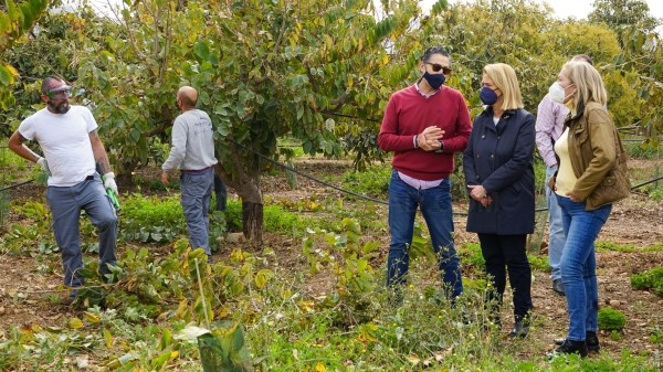 La segunda edición del curso de producción de cultivos subtropicales de FormActiva+ avanza con éxito