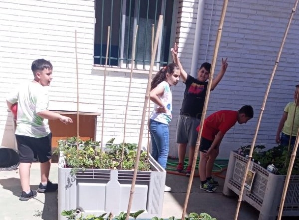El CEIP Virgen de la Antigua de Almuñécar ha puesto en marcha este curso un Huerto Escolar de 150 m2
