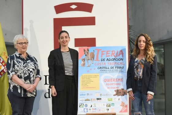 Diputación recupera la Feria de Adopción de Mascotas en la Costa