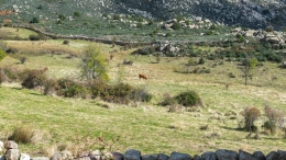 III Certamen de Narrativa del Parque Nacional de la Sierra de Guadarrama
