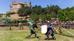 ACTIVIDADES Castillo de Manzanares El Real