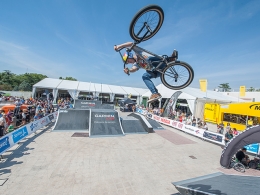 Festibike