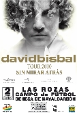 Concierto de David Bisbal: Tour 2010 "Sin Mirar Atrás" (Fiestas de San Miguel 2010)