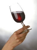 Cata de Vinos con Denominación de Origen Madrid