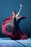 Ballet de la Comunidad de Madrid "Víctor Ullate": El arte de la danza