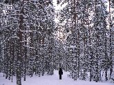 Exposición Fotográfica "Desde el fin de la Landia"