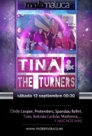 Tina and The Turners