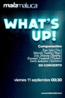 Concierto: What's Up