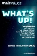 Concierto: What's Up