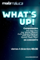 Concierto: What's up