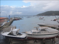 La costa de Dexo-Serantes, un espectacular paisaje de mar, tierra y aves