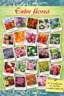 Los usos terapéuticos de las flores, un reclamo para el turismo floral en el Día Internacional del Turismo