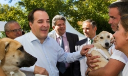 La región establecerá por ley el “sacrificio 0” de animales domésticos abandonados