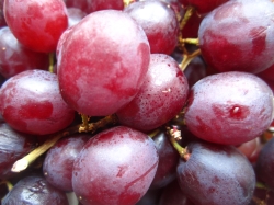 Los Vinos de Madrid, protagonistas en el Día de Mercado de la Cámara Agraria