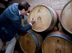 Madrid Rutas del Vino se incorporará a la red nacional “Rutas del Vino de España”
