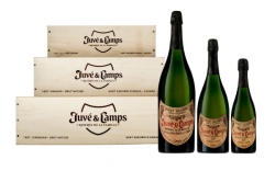 Juvé & Camps te propone descorchar grandes botellas de cava para celebrar esta Navidad