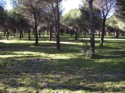 La Asociación de Amigos de los Caminos solicita que deje sin efecto el documento que pretence regular las visitas al Monte del Pilar