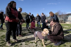 Abiertos los centros de atención de animales a los grupos de la Asamblea