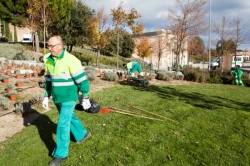 Comienza la campaña de reposición de arbolado viario y arbustiva en Boadilla del Monte