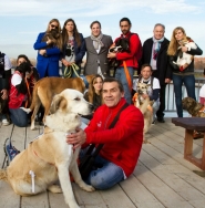 La región anima a adoptar animales de compañía en Navidades en lugar de comprar