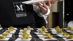 La Comunidad lleva el polen apícola a la alta cocina de la mano del chef Jesús Almagro