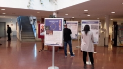 Una  exposición sobre oportunidades de movilidad internacional para jóvenes recorre Majadahonda