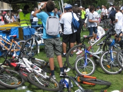El Pleno del Ayuntamiento de Majadahonda acuerda crear un registro digital de bicicletas