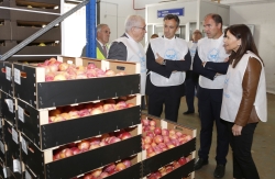 IV EDICIÓN DE ‘LA GRAN RECOGIDA’
