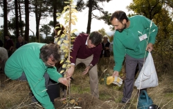 El Arboreto Luis Ceballos celebra su XX aniversario