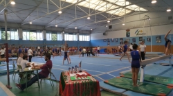 Éxito del Festival de la Escuela Municipal de Gimnasia.