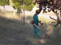 Majadahonda se prepara para evitar incendios con el desbroce de las parcelas de la ciudad.