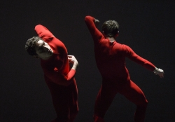 El Festival Madrid en Danza toma de nuevo los escenarios de la Comunidad.
