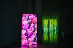 Exposición ‘Fluctuaciones’ del artista madrileño Daniel Canogar.