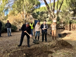 Plantación de olmos libres de grafiosis para regenerar el Arroyo de Valgrande.