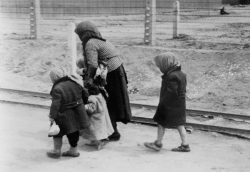 Exposición “Auschwitz. No hace mucho. No muy lejos”