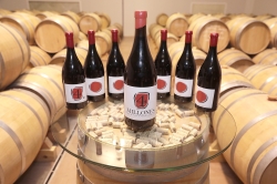 Las ventas de los Vinos de Madrid con DO superaron los 4 millones de botellas en 2017.