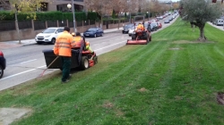 El Ayuntamiento de Majadahonda,va a iniciar en los próximos días los trabajos de saneamiento del césped de las zonas verdes públicas.Un problema típic