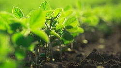 Se incorpora un Comisionado de Cambio Climático y Agenda 2030 para el desarrollo sostenible.