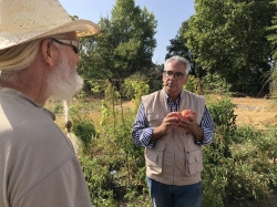 La Comunidad de Madrid quiere recuperar las tradiciones agrícolas y formar a particulares y asociaciones tanto en el cultivo de huertos.