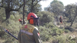 La Comunidad de Madrid invertirá para la elaboración de un proyecto que permita mejorar 13 bases de retenes forestales.