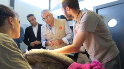 La Comunidad de Madrid atiende cada año a una media de más de 3.300 animales silvestres heridos en el Centro de Recuperación de Animales Silvestres.