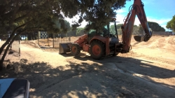 Tratamiento biológico para mantener a raya a la procesionaria en el Monte del Pilar