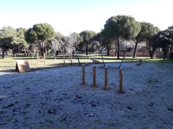 El Parque Cerro del Aire acoge la zona canina más grande de Majadahonda.