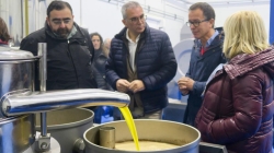 La Comunidad de Madrid destinó el pasado año un total de 922.073 euros a ayudas para agricultura y ganadería ecológicas.
