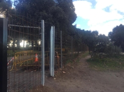 El Ayuntamiento instala un mallazo de gran resistencia para frenar la entrada de jabalíes.
