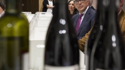 Cinco vinos de Madrid, galardonados en el concurso internacional Bacchus 2019.