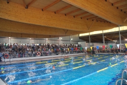 Más de un centenar de nadadores se dieron cita en la final de la IX Liga de Natación Escolar