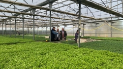 La Comunidad de Madrid lleva a cabo en la Finca ‘La Isla’ semilleros de diferentes especies hortícolas para su posterior venta.