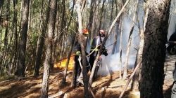 La Comunidad de Madrid registró un total de 255 incendios y conatos forestales en 2018.
