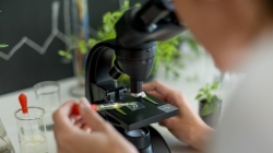 El V Plan Regional de Investigación Científica e Innovación Tecnológica de la Comunidad de Madrid (PRICIT) beneficiará a 11.000 investigadores.